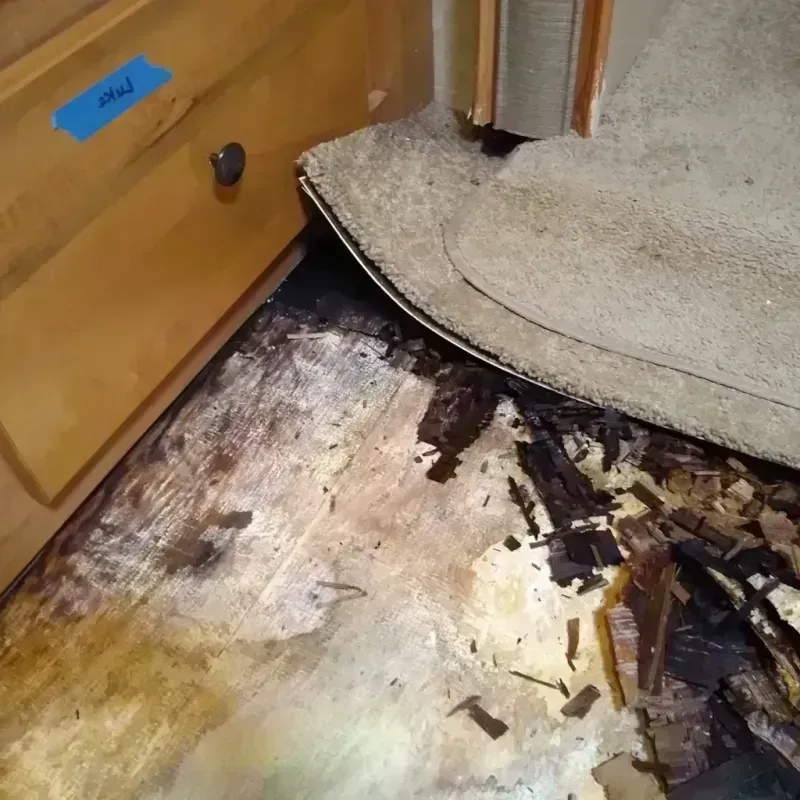 Wood Floor Water Damage in Scott County, IA